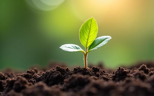 成長する植物で人材開発を表現